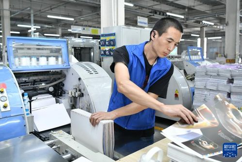 奮進強國路 闊步新征程丨河北肅寧 協同發展助推圖書印刷產業壯大
